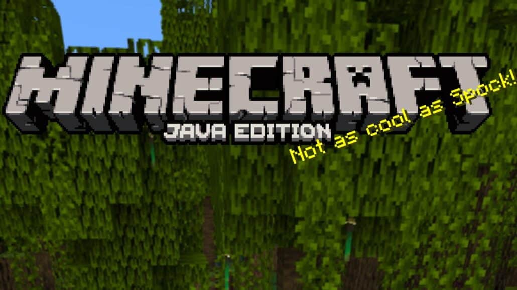 ‘Minecraft: Java Edition’ gets Native Apple Silicon support - Dans ...